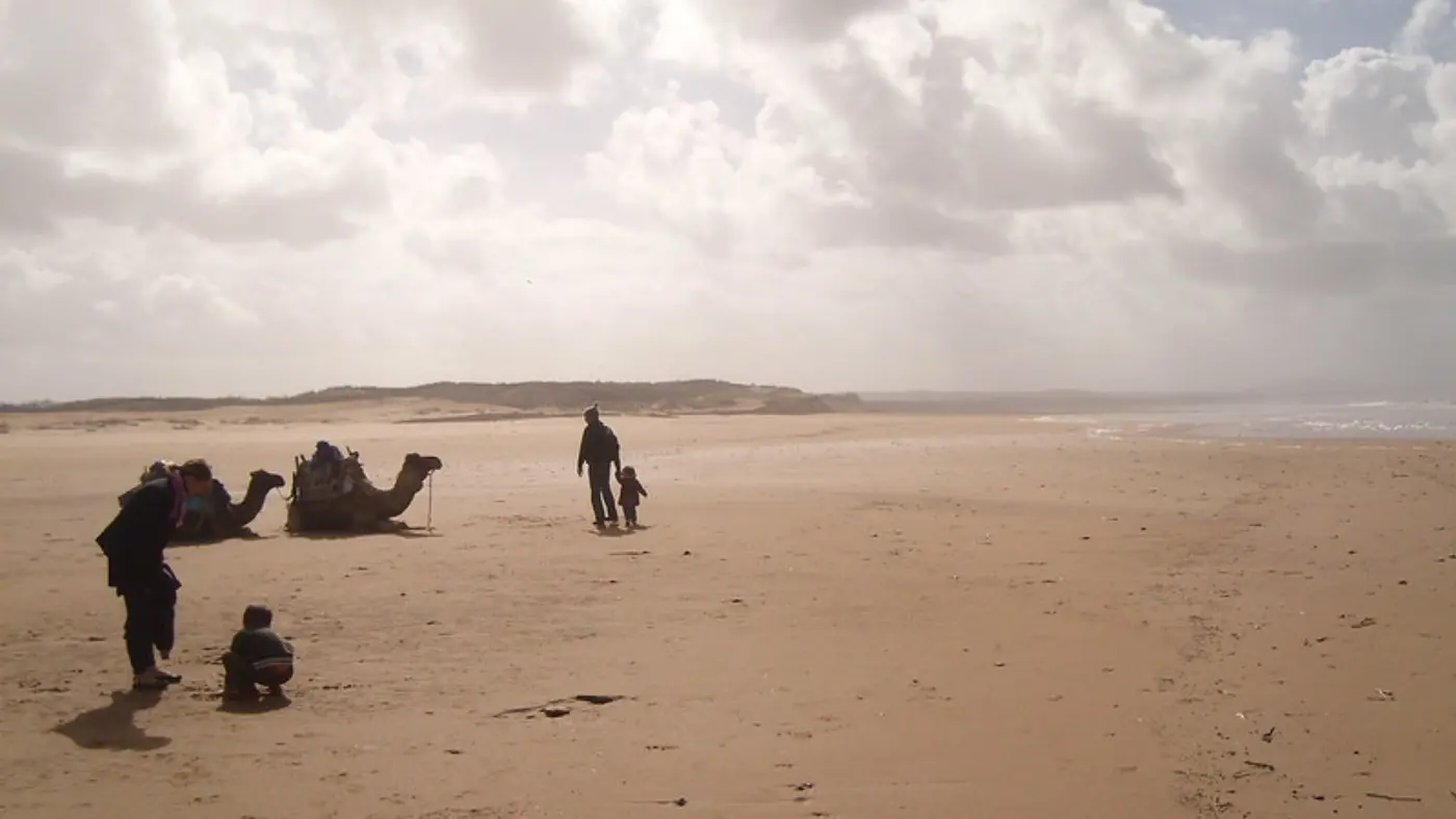 7 Dagers Marrakech til Merzouga & Essaouira — Coastal Beach Camels