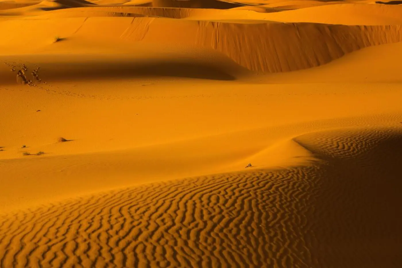 3-Dagers Ørkentur fra Marrakech til Merzouga